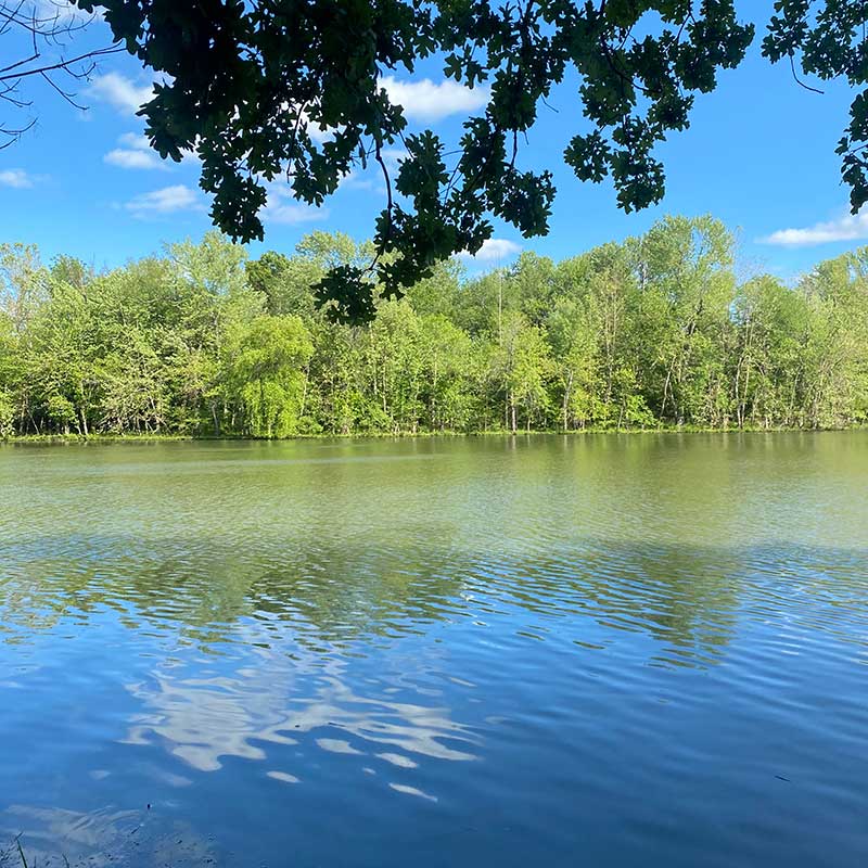 Elite Garage Door Services of Northwest Arkansas-A tranquil lake scene with lush green trees reflecting in calm water under a clear blue sky in Northwest Arkansas. Perfect for relaxing after professional garage door service in Rogers AR.
